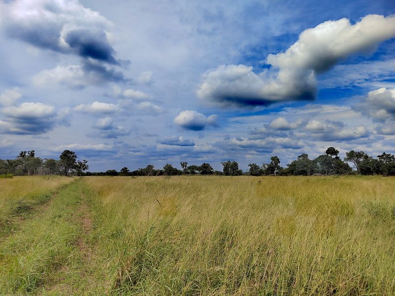 A scenic view of expansive open grassland and mature trees under a dramatic cloudy sky on the farm property.