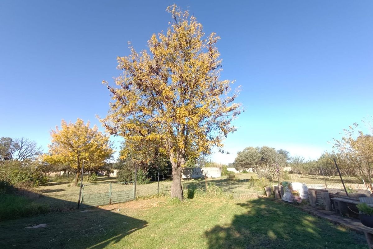 !Spacious Plot Up For Sale!  !This Plot gives you around 2.2HA and a Strong BOREHOLE! - Photo 4