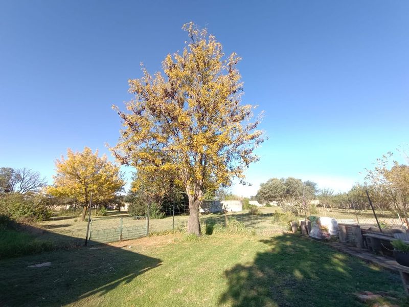 !Spacious Plot Up For Sale!  !This Plot gives you around 2.2HA and a Strong BOREHOLE! - Photo 4