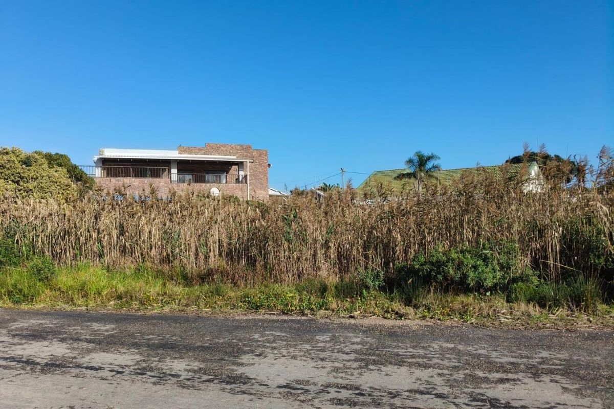 Street view of a vacant residential plot featuring overgrown vegetation and asphalt road access, with neighboring properties visible in the background.