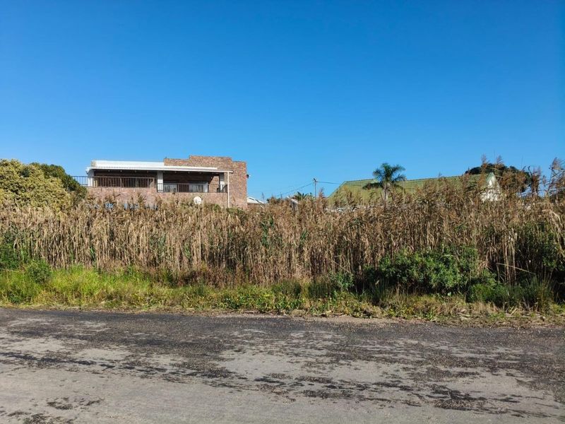 Street view of a vacant residential plot featuring overgrown vegetation and asphalt road access, with neighboring properties visible in the background.