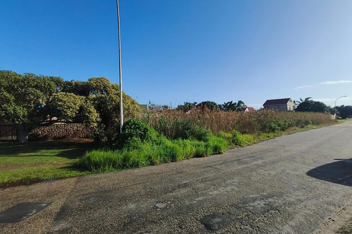A street-level view of the vacant residential land, showing the road frontage, existing vegetation, and surrounding neighborhood context.