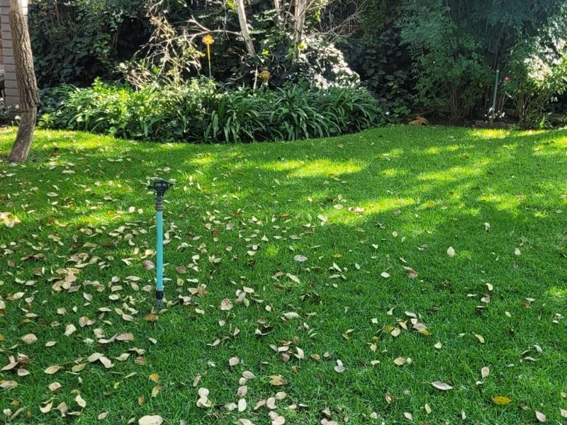 Welcome Home to Your Dream Oasis! - Photo 4