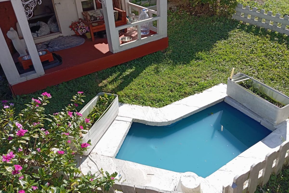 Spacious & Unique Family Home with Incredible Features! - Photo 3