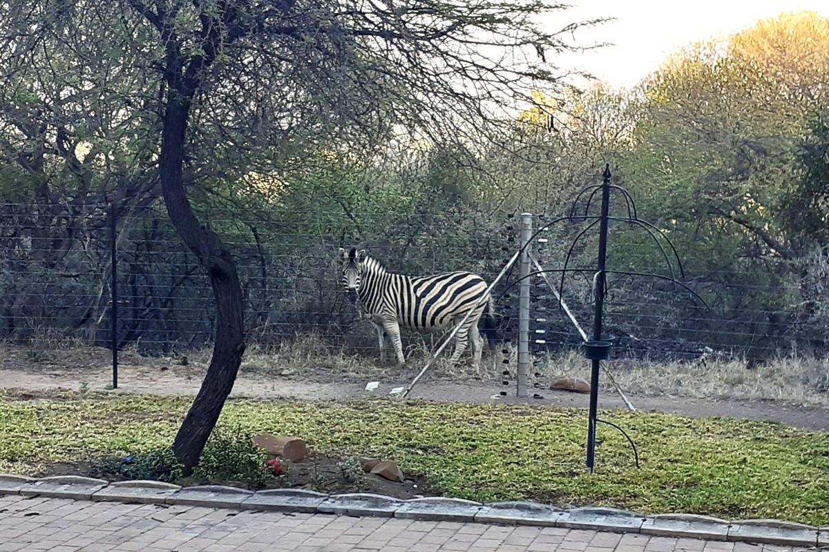 OFF THE GRID - Wildlife estate - BUFFELSDRIFT GAME RESERVE --Modern and spacious with beautiful view - Photo 2