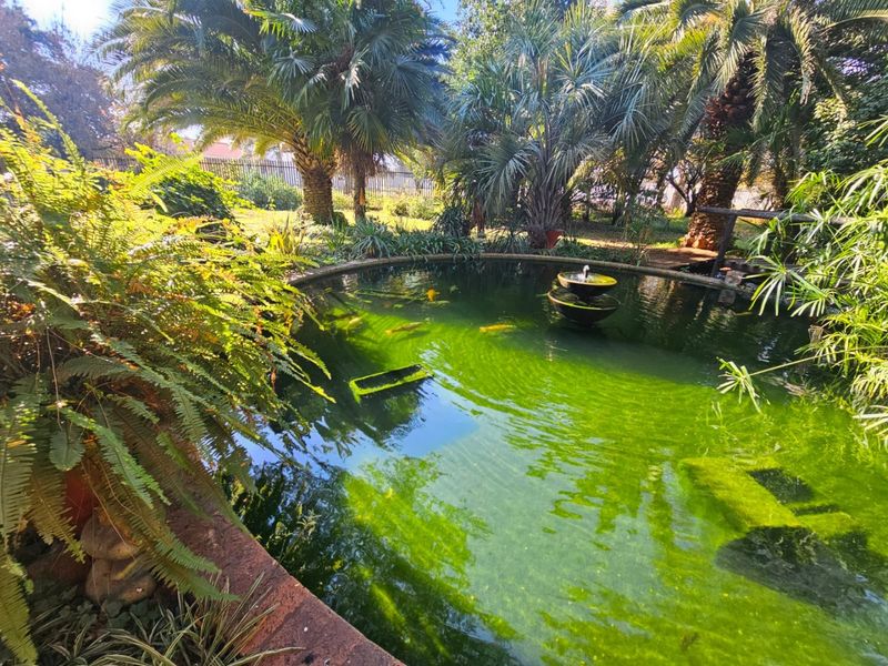 Sole Mandate - Beautiful Retirement Village Homes for Sale – Life Rights Option - Photo 7