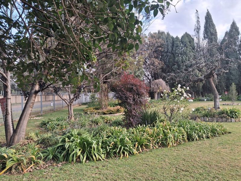 Smallholding For Sale In Vereeniging - Photo 8