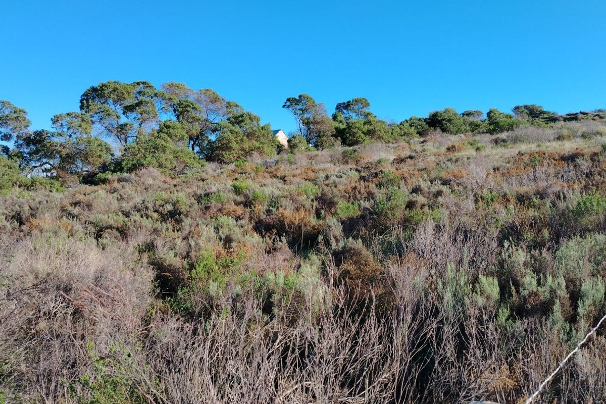 Large Stand with Sweeping Views in Baardskeerdersbos - Photo 2