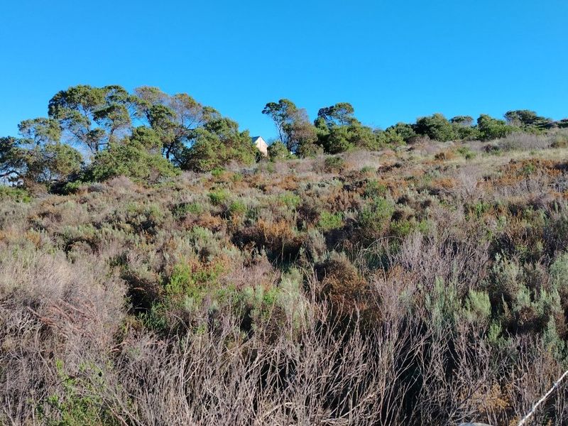 Large Stand with Sweeping Views in Baardskeerdersbos - Photo 2