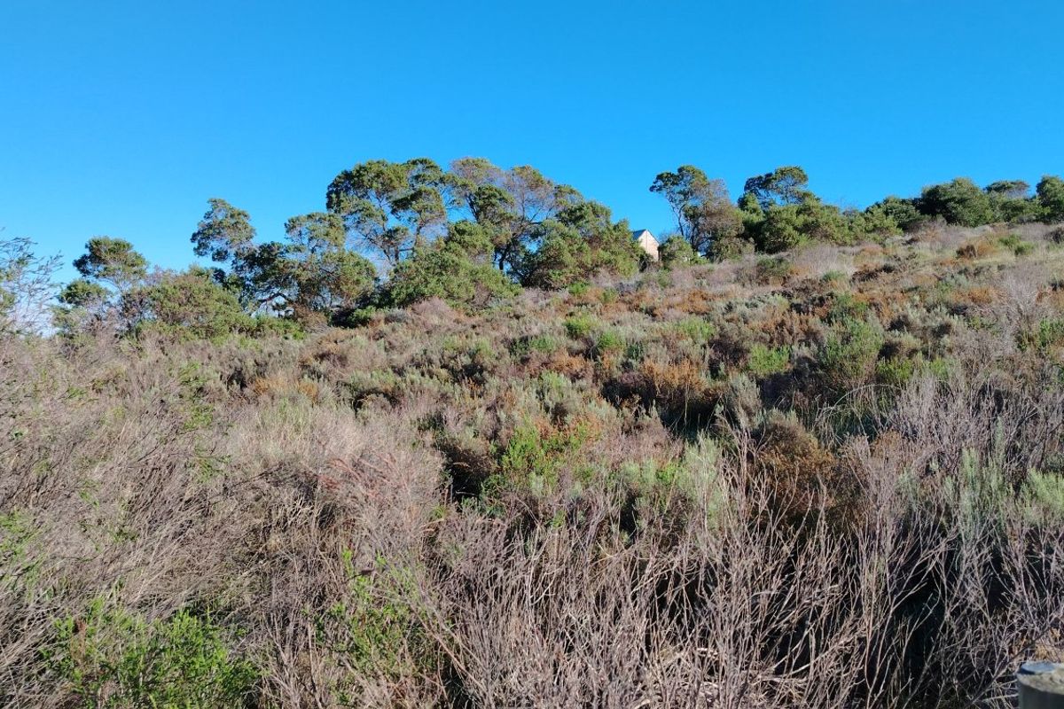 Large Stand with Sweeping Views in Baardskeerdersbos - Photo 4