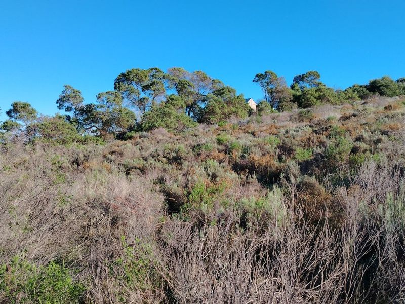 Large Stand with Sweeping Views in Baardskeerdersbos - Photo 4