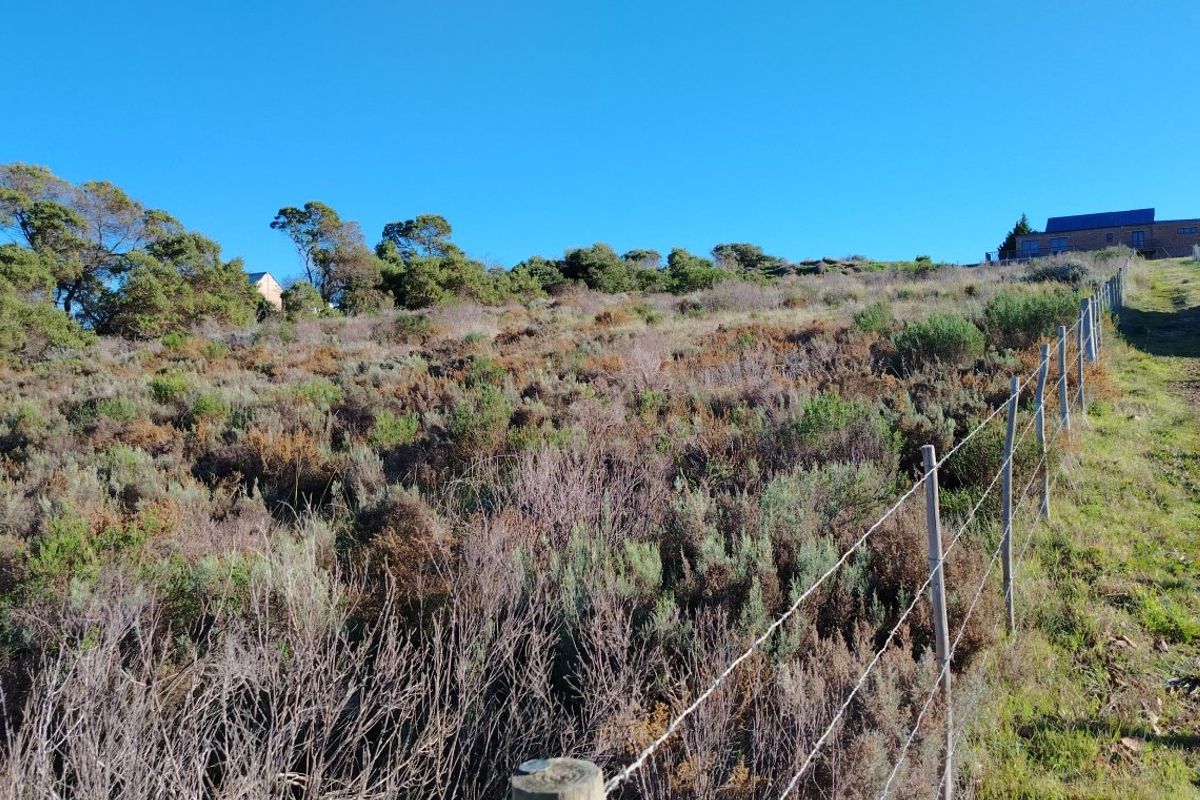Large Stand with Sweeping Views in Baardskeerdersbos - Photo 3