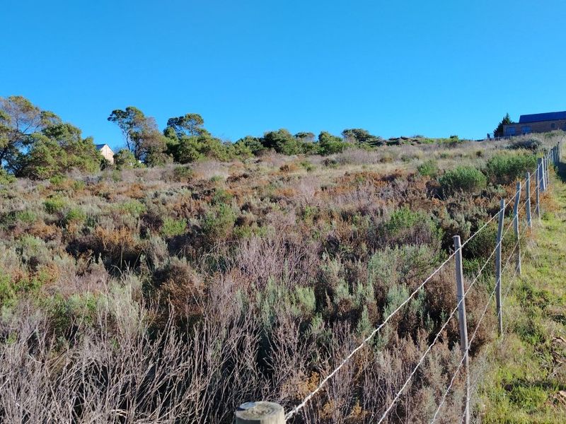 Large Stand with Sweeping Views in Baardskeerdersbos - Photo 3