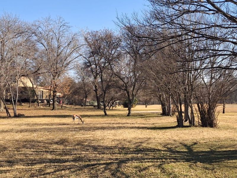 244m2 Corner stand in elite River Estate, Risivile, Vereeniging - Photo 4