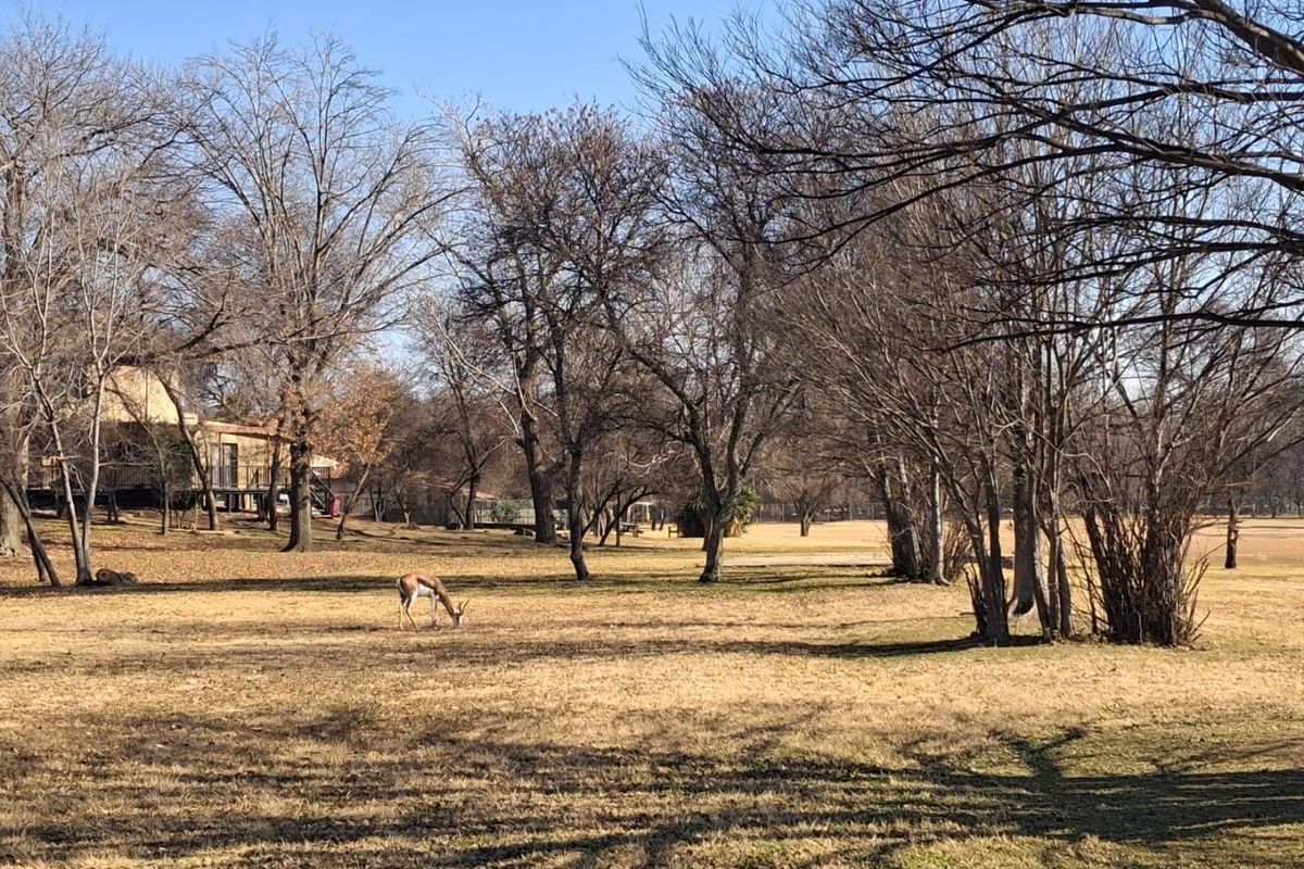 Vacant Land Residential For Sale In Meyerton - Photo 4