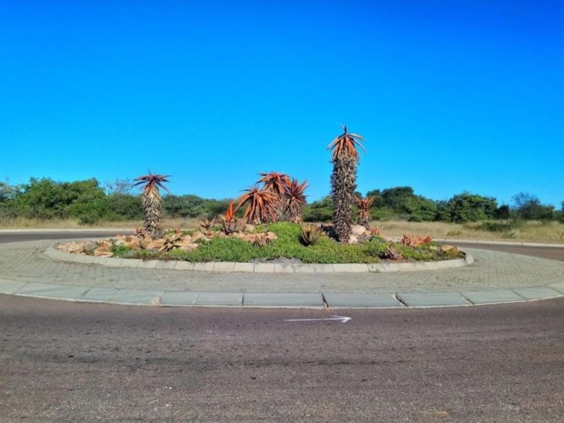 Brand New Ultra-Modern Home for Sale in The Aloes - Polokwane's Premier Lifestyle Estate - Photo 8