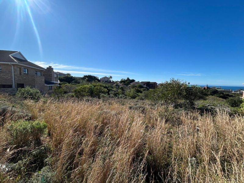 A view of a vacant residential plot featuring natural vegetation with surrounding neighborhood homes and distant coastal views.