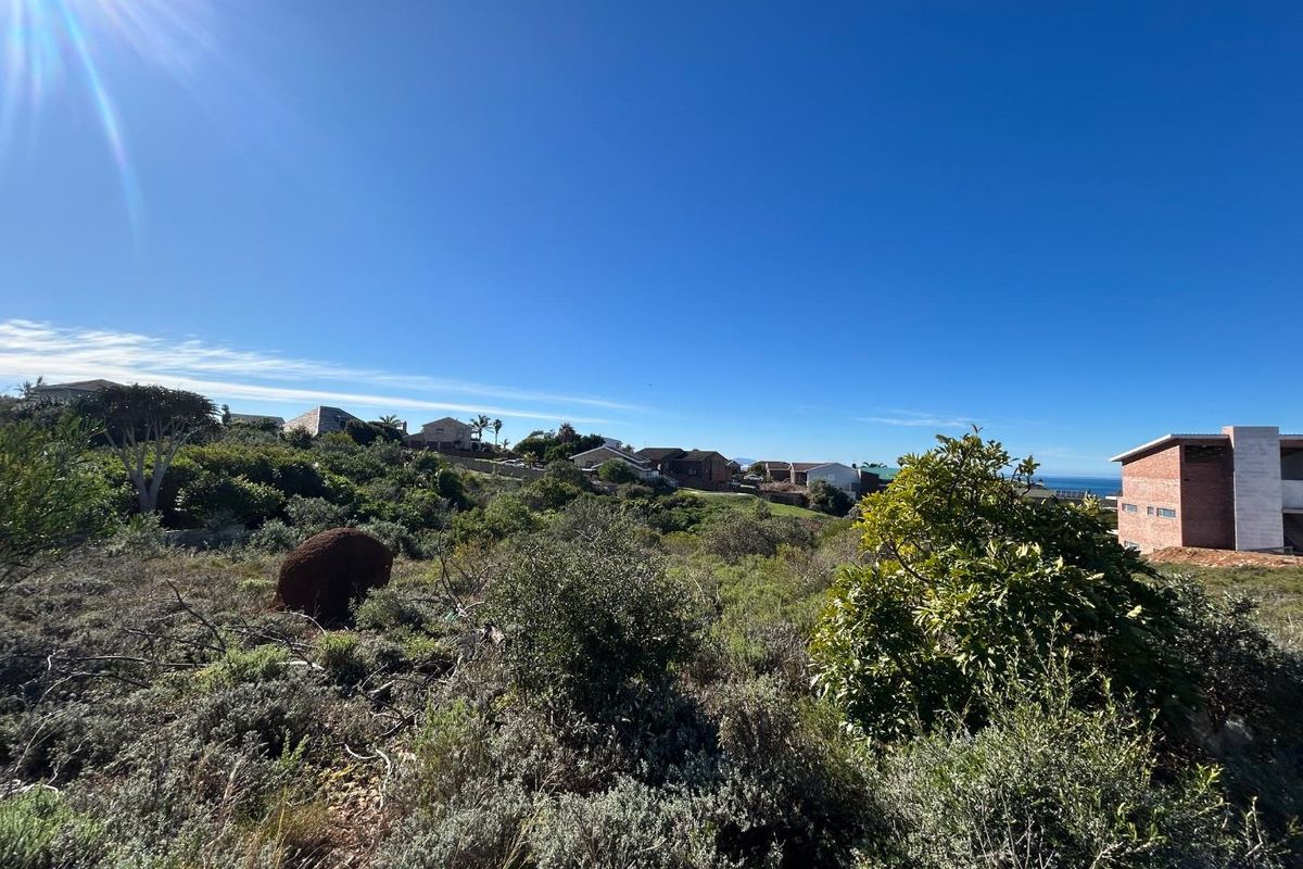 A view of the natural coastal landscape and surrounding residential properties from the vacant residential land.