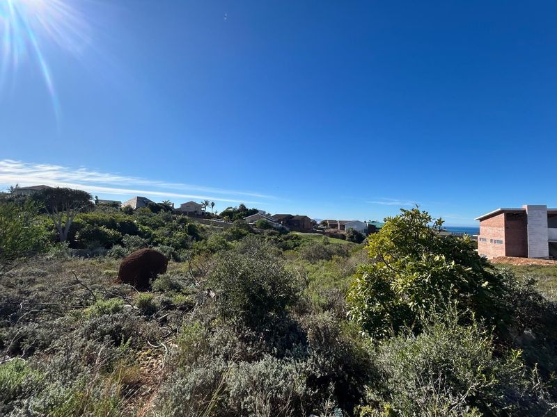 A view of the natural coastal landscape and surrounding residential properties from the vacant residential land.
