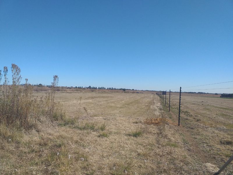 Looking for an investment or fulfilling a dream. In near proximity of Meyerton, Vanderbijlpark ext. - Photo 5