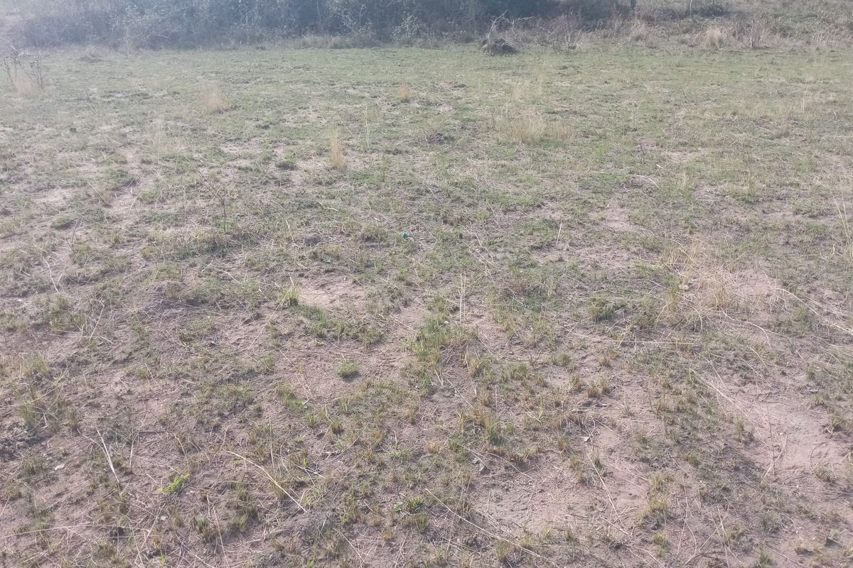 A view of an undeveloped residential plot featuring natural grass and soil terrain with surrounding vegetation.