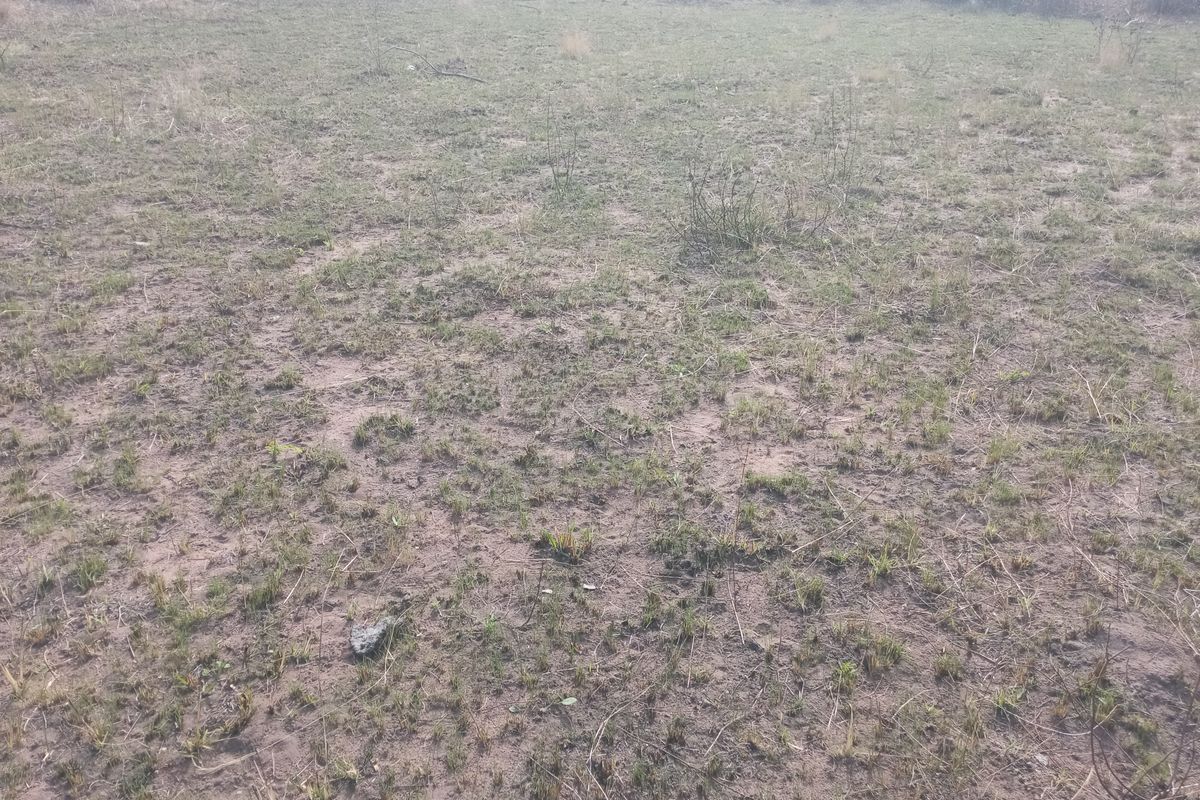 A view of an undeveloped residential plot of land with natural grass and soil coverage.