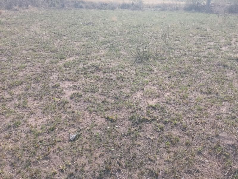 A view of an undeveloped residential plot of land with natural grass and soil coverage.