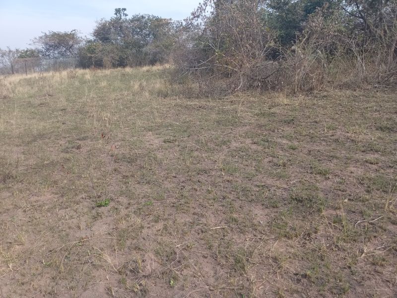 A view of the undeveloped residential land featuring natural vegetation and open ground.