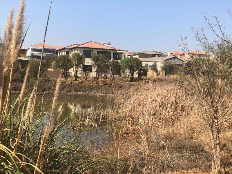 A scenic view of a natural pond and wetland area with residential properties visible in the background.