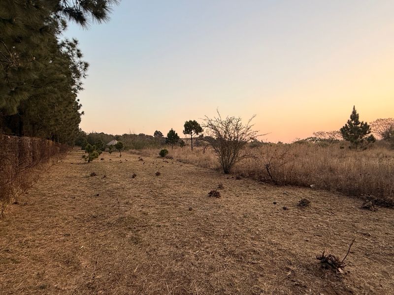 Vacant Land For Sale In Walkerville - Photo 10
