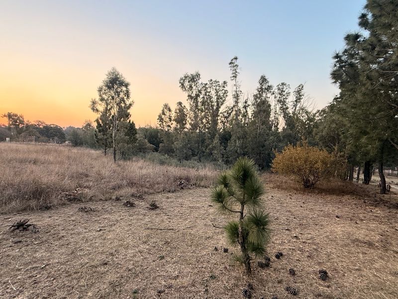 Vacant Land For Sale In Walkerville - Photo 9
