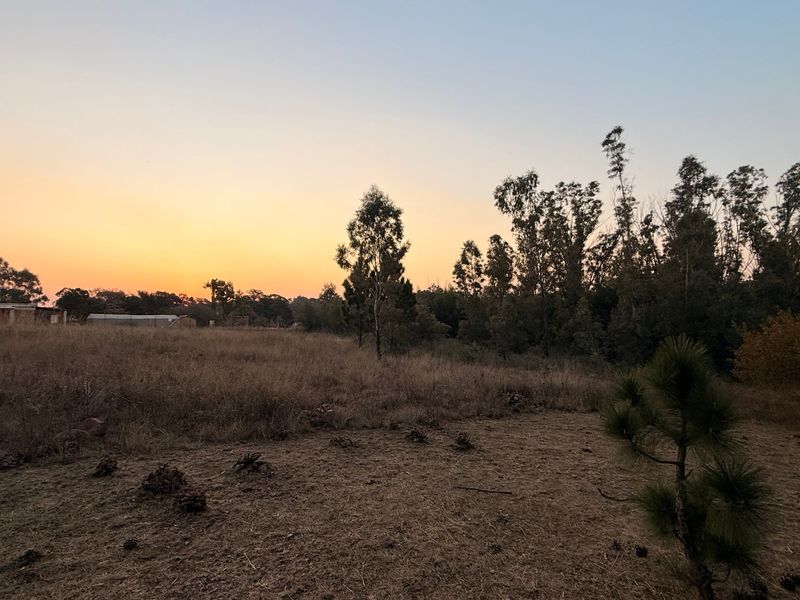 Vacant Land For Sale In Walkerville - Photo 8