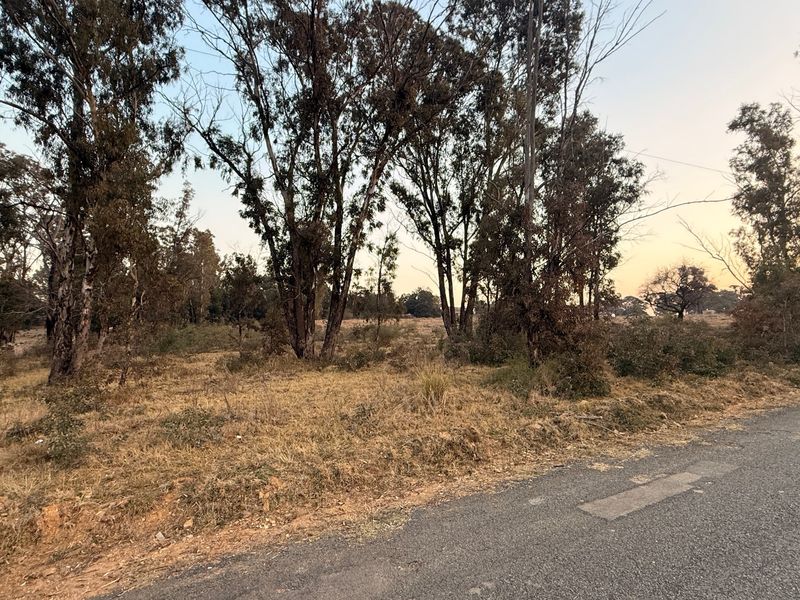 Vacant Land For Sale In Walkerville - Photo 7