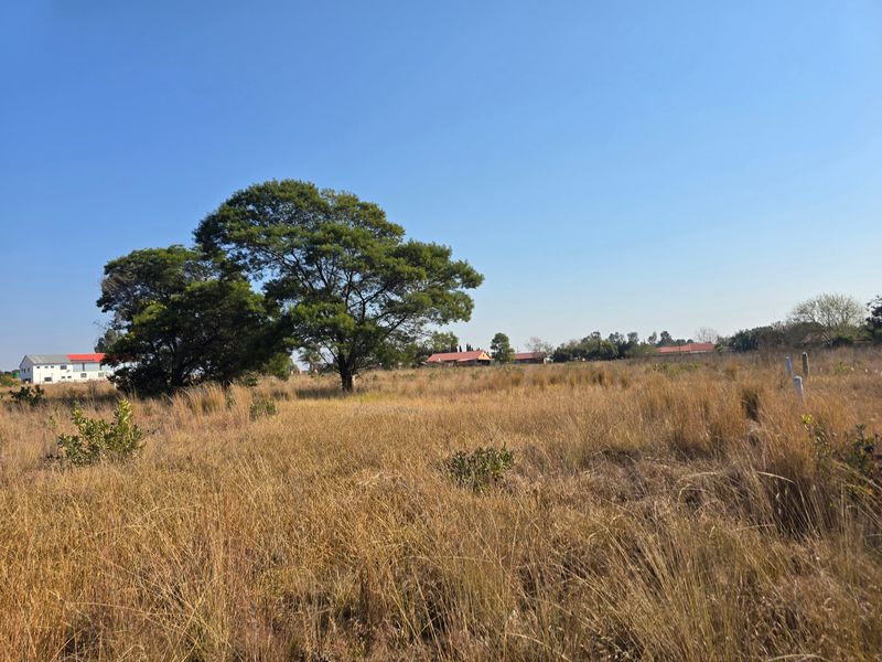 Vacant Land For Sale In Cullinan - Photo 9