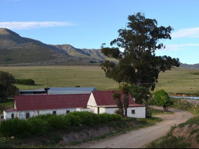 A rural farm property featuring traditional white masonry buildings with red corrugated metal roofs, set against a scenic mountain landscape and open fields.