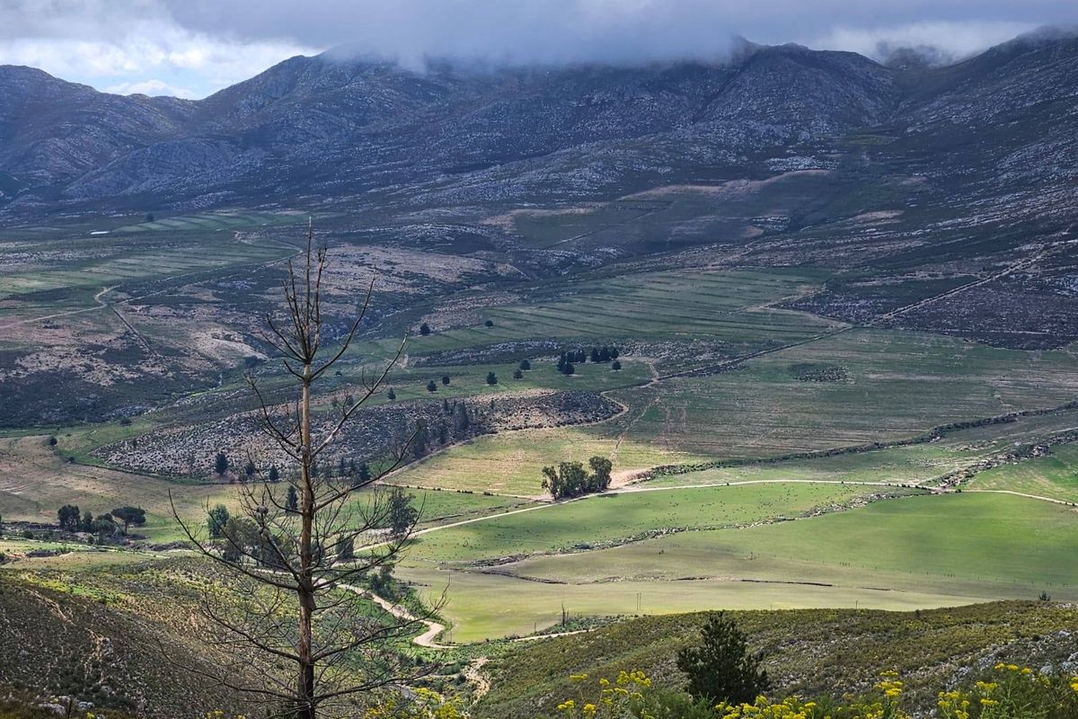 A scenic, elevated landscape view overlooking the expansive farm property, featuring rolling green fields and dramatic mountain ranges in the background.