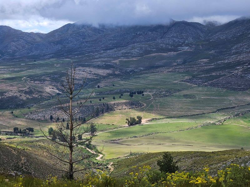 A scenic, elevated landscape view overlooking the expansive farm property, featuring rolling green fields and dramatic mountain ranges in the background.