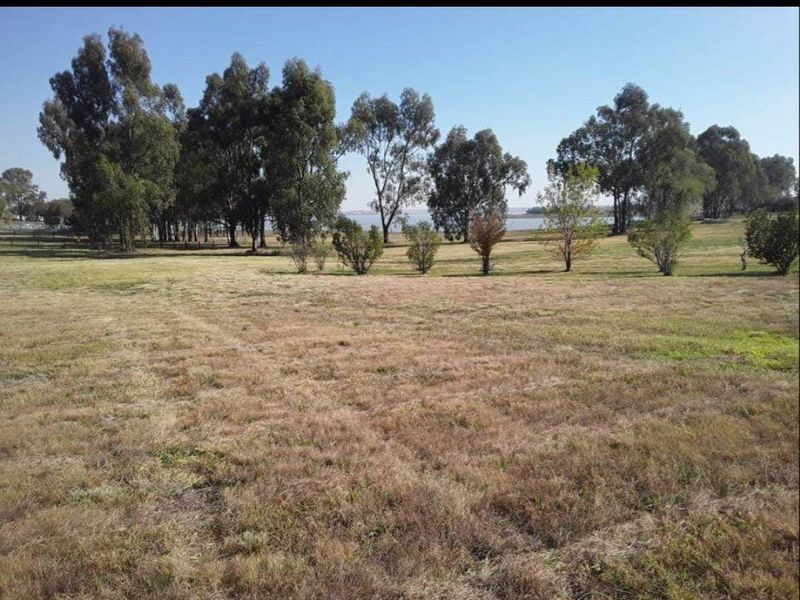 A spacious, open garden area featuring mature trees and a natural grass lawn with a view towards a distant water body.