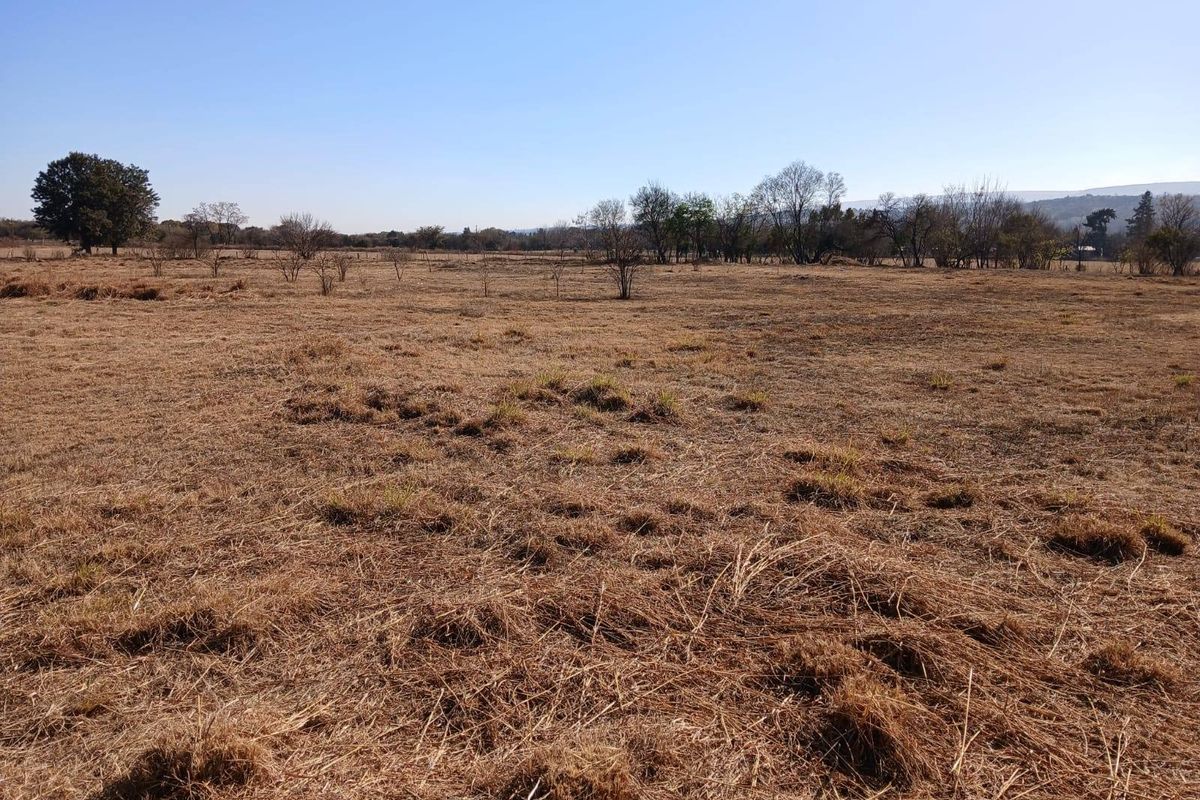 Expansive open farm land featuring dry grass and scattered trees under a clear blue sky.
