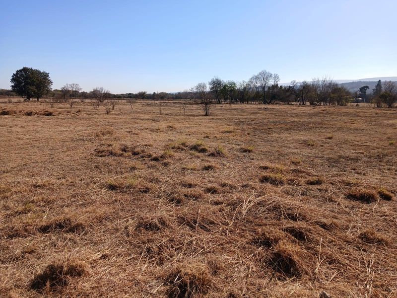 Expansive open farm land featuring dry grass and scattered trees under a clear blue sky.