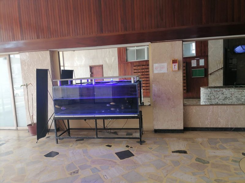 Apartment Rental Monthly In Durban - Photo 7