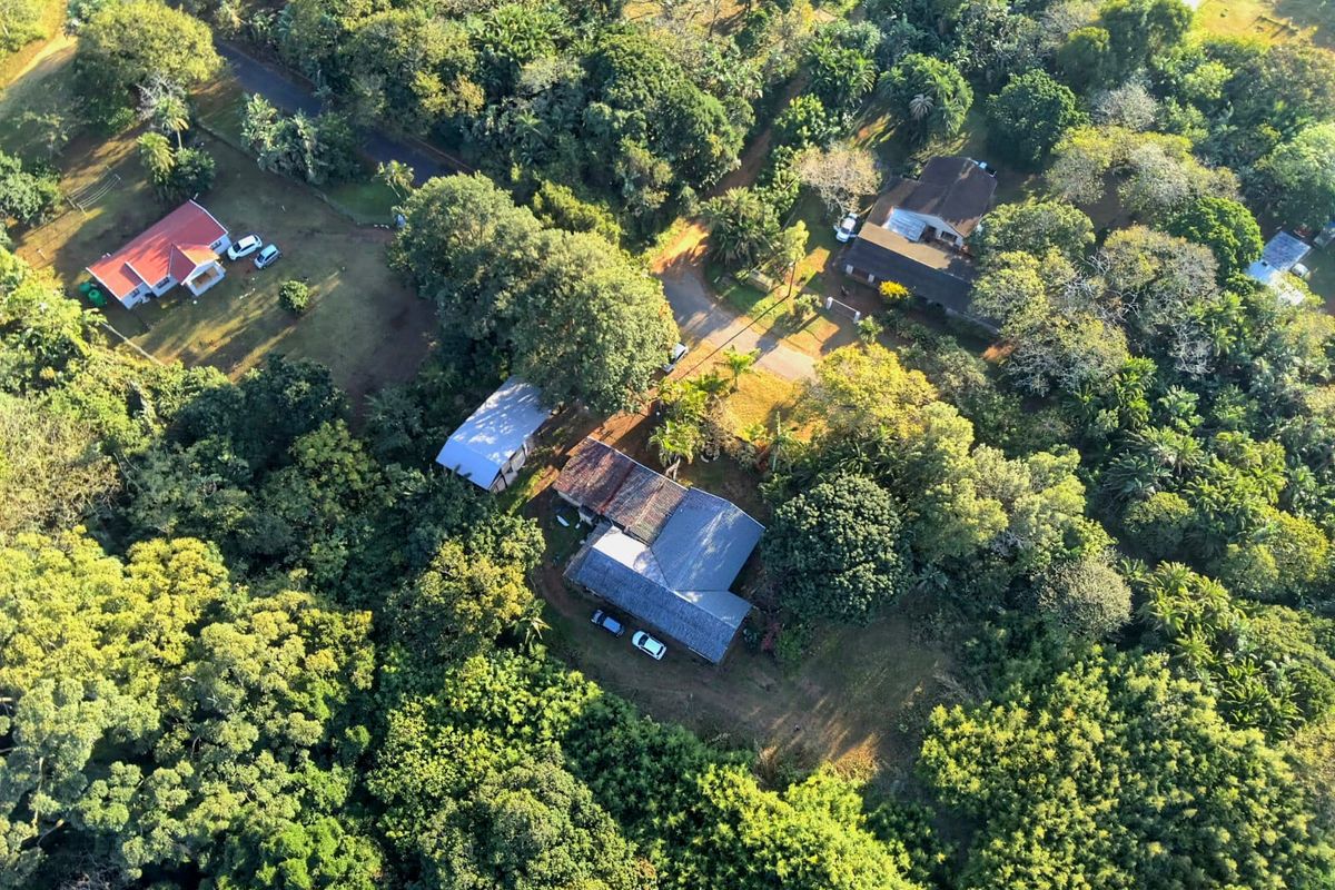 An aerial view of the property showing the main dwelling, outbuilding, driveway, and surrounding lush garden and mature trees.