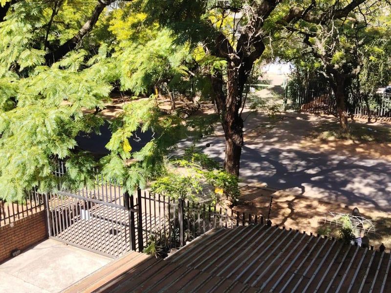 An elevated view overlooking the street, mature trees, and the property's perimeter security fencing and gated entrance.