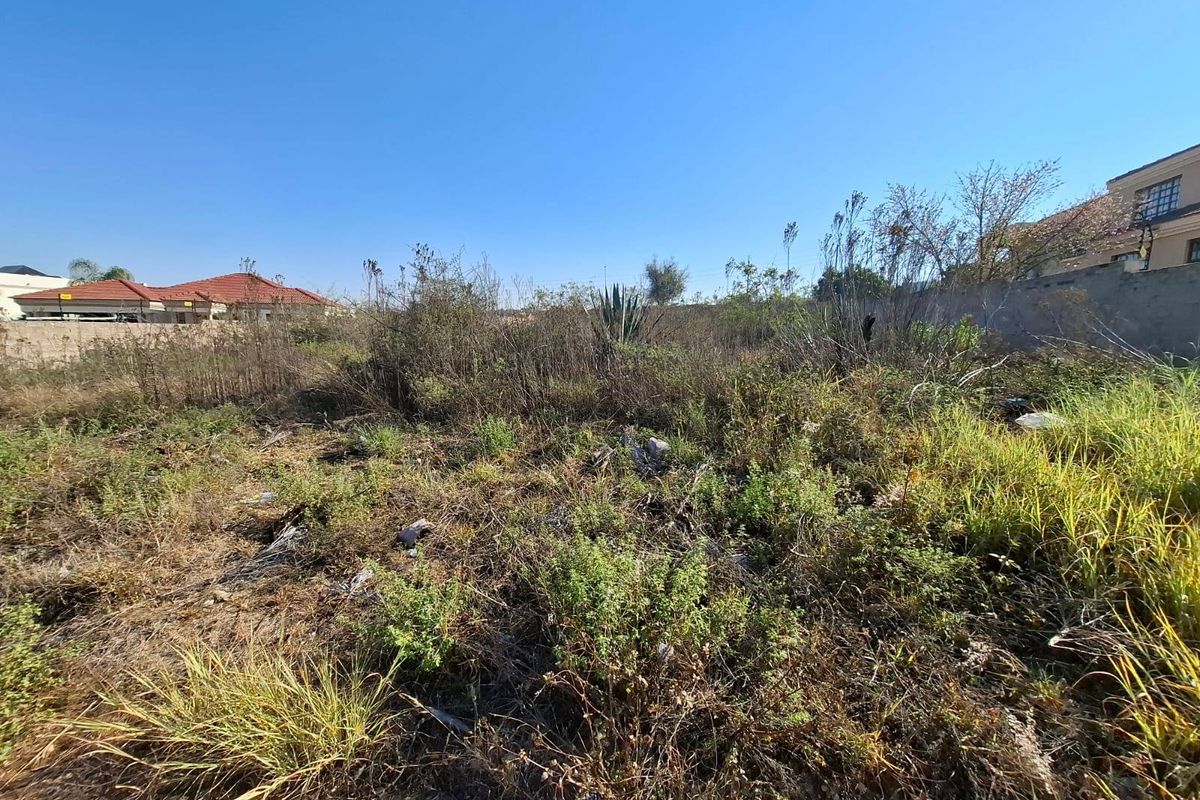 A vacant residential plot featuring overgrown natural vegetation and perimeter boundary walls, offering a blank canvas for future development.