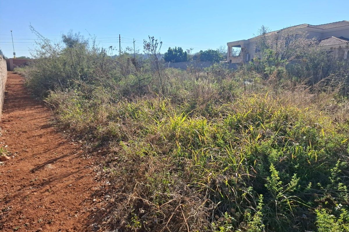 A vacant residential plot featuring overgrown vegetation and a boundary wall, offering a blank canvas for future development.