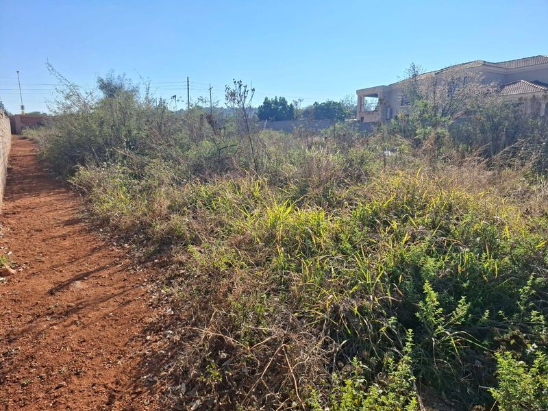 A vacant residential plot featuring overgrown vegetation and a boundary wall, offering a blank canvas for future development.