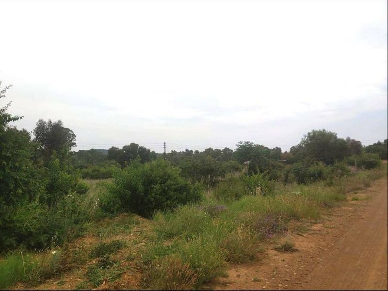 Vacant Land For Sale In Vaal Marina - Photo 4