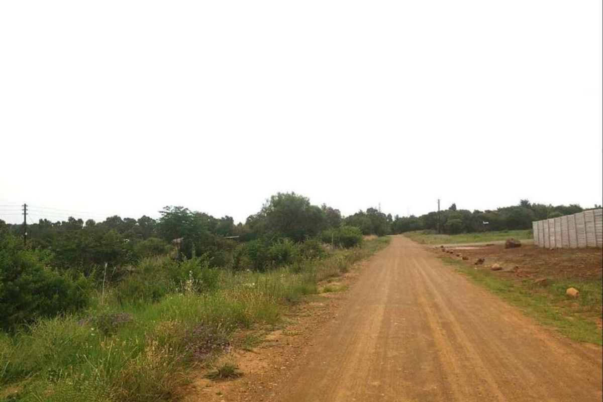 A view of a dirt access road leading through a vacant residential area, bordered by natural vegetation and a precast concrete boundary wall.
