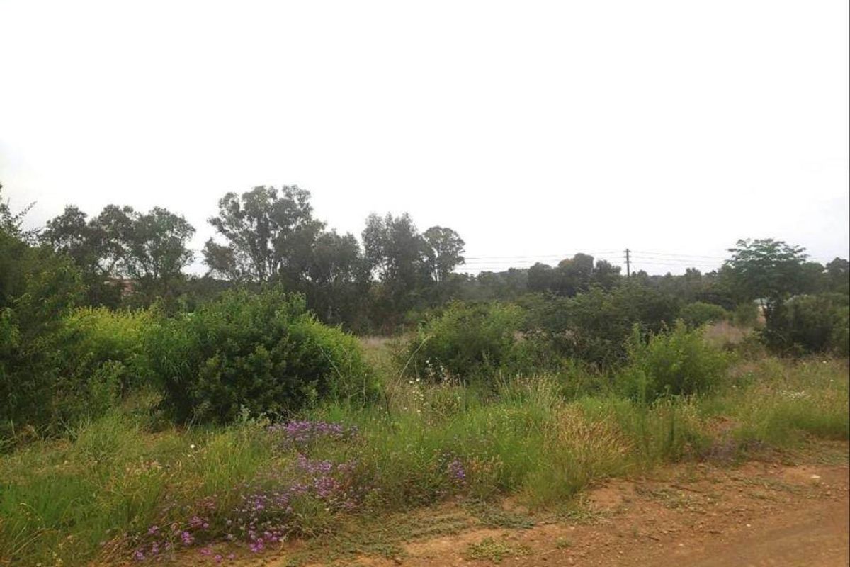 A view of a vacant residential plot featuring natural vegetation, shrubs, and mature trees.