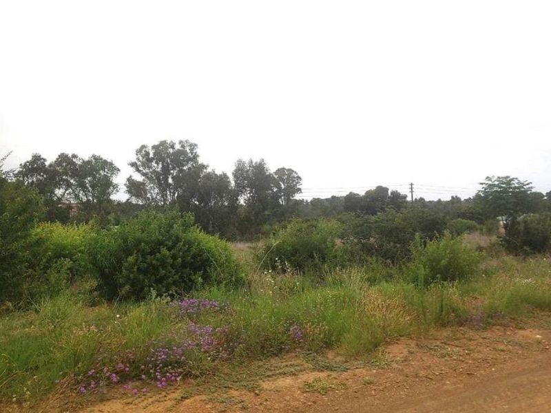 Vacant Land For Sale In Vaal Marina - Photo 3
